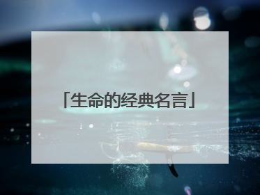 生命的经典名言