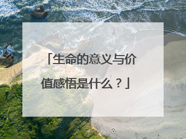 生命的意义与价值感悟是什么？