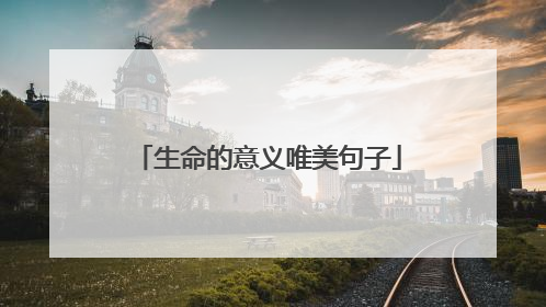 生命的意义唯美句子