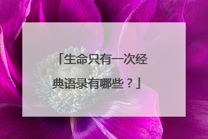 生命只有一次经典语录有哪些?