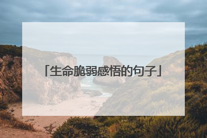 生命脆弱感悟的句子