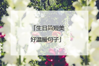 生日简短美好温暖句子