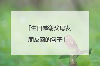 生日感谢父母发朋友圈的句子