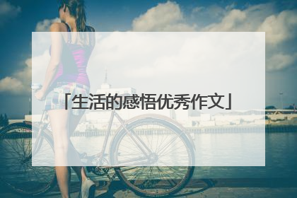 生活的感悟优秀作文