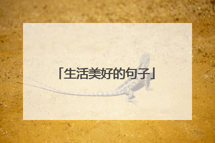 生活美好的句子