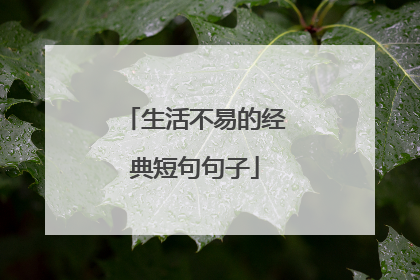 生活不易的经典短句句子
