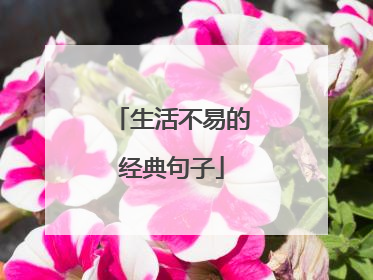 生活不易的经典句子