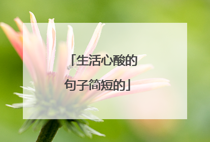 生活心酸的句子简短的