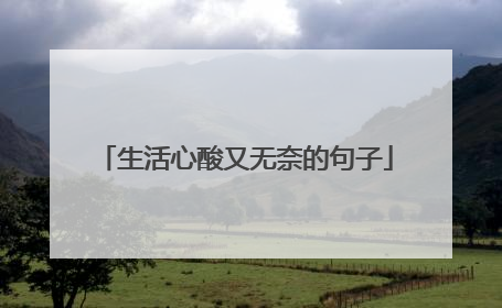 生活心酸又无奈的句子