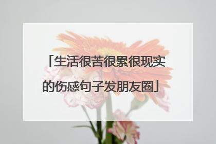 生活很苦很累很现实的伤感句子发朋友圈