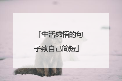 生活感悟的句子致自己简短