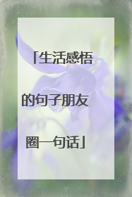 生活感悟的句子朋友圈一句话