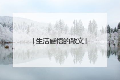 生活感悟的散文