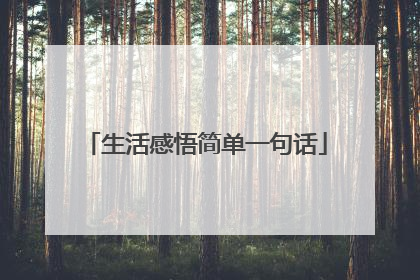 生活感悟简单一句话