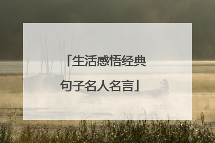 生活感悟经典句子名人名言