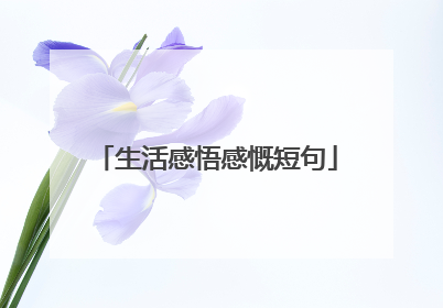 生活感悟感慨短句