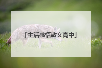 生活感悟散文高中
