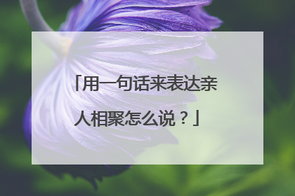 用一句话来表达亲人相聚怎么说?