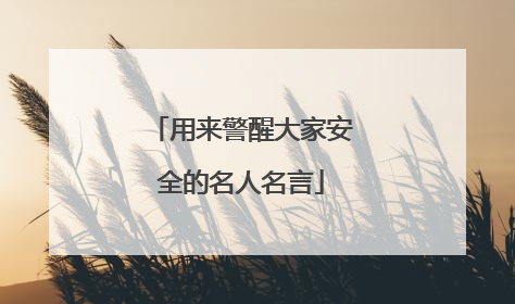 用来警醒大家安全的名人名言