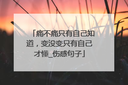 痛不痛只有自己知道,变没变只有自己才懂_伤感句子