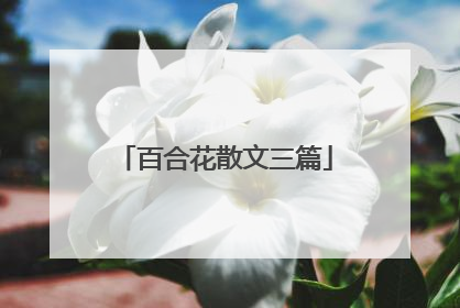 百合花散文三篇