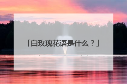 白玫瑰花语是什么?