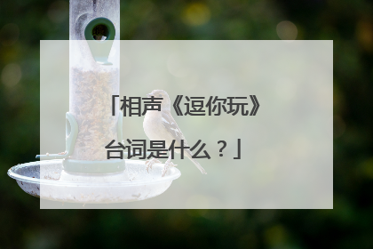 相声《逗你玩》台词是什么?