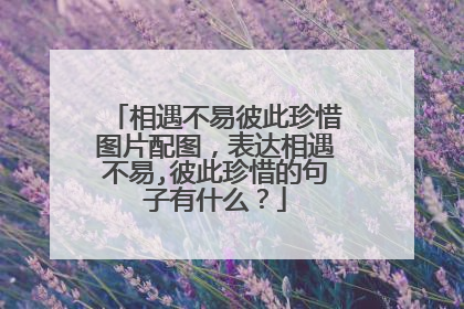 相遇不易彼此珍惜图片配图,表达相遇不易,彼此珍惜的句子有什么?