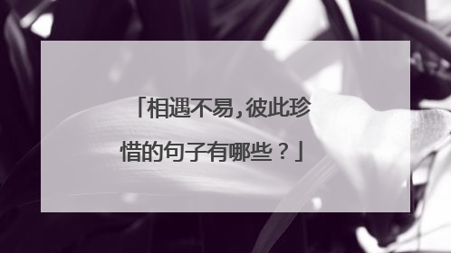 相遇不易,彼此珍惜的句子有哪些?