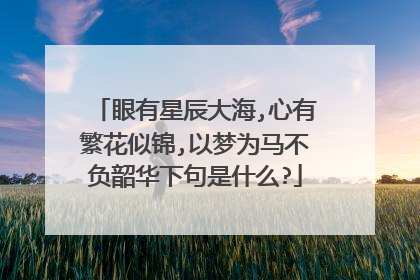 眼有星辰大海,心有繁花似锦,以梦为马不负韶华下句是什么?