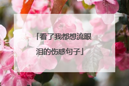 看了我都想流眼泪的伤感句子