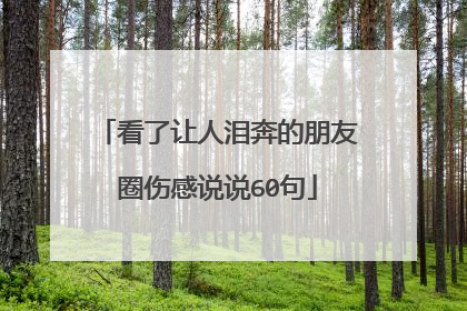 看了让人泪奔的朋友圈伤感说说60句