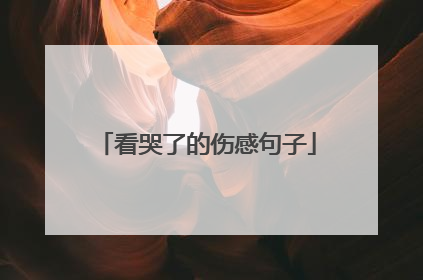 看哭了的伤感句子