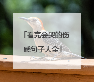看完会哭的伤感句子大全