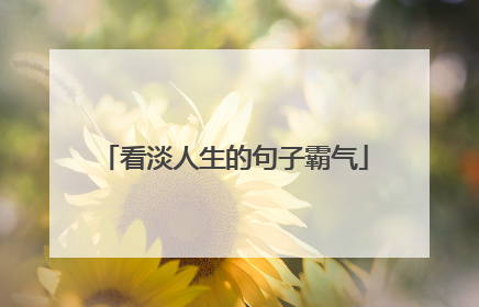看淡人生的句子霸气