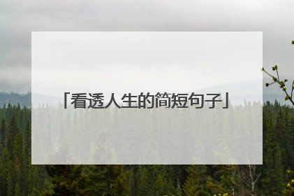 看透人生的简短句子