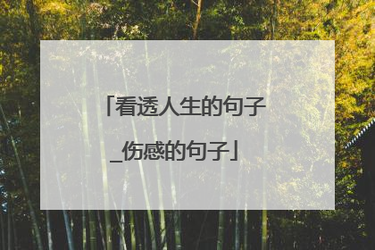 看透人生的句子_伤感的句子