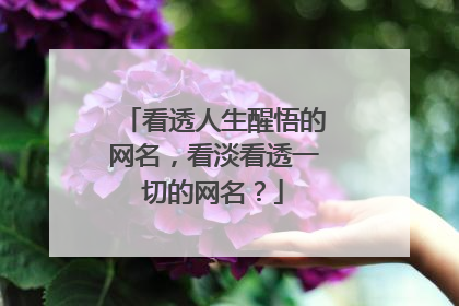 看透人生醒悟的网名,看淡看透一切的网名?