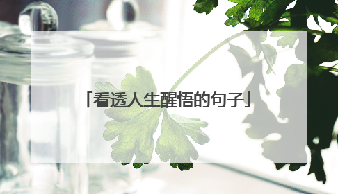 看透人生醒悟的句子