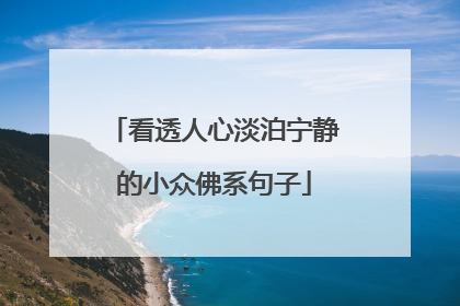 看透人心淡泊宁静的小众佛系句子