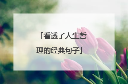 看透了人生哲理的经典句子