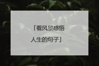 看风景感悟人生的句子