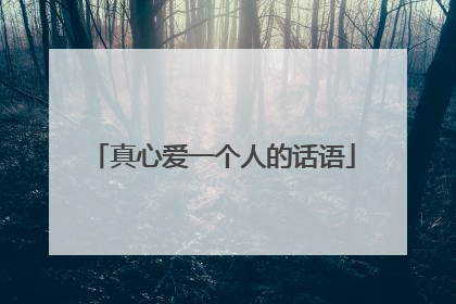 真心爱一个人的话语