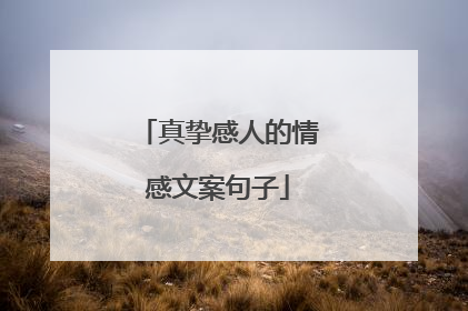 真挚感人的情感文案句子