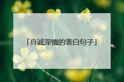 真诚深情的表白句子