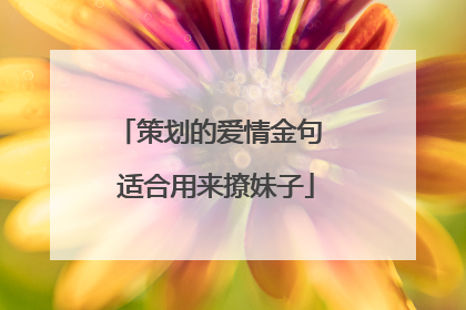 策划的爱情金句 适合用来撩妹子