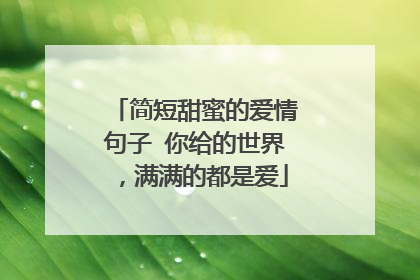 简短甜蜜的爱情句子 你给的世界,满满的都是爱