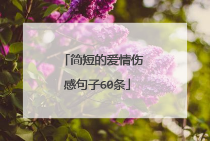 简短的爱情伤感句子60条
