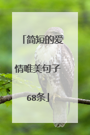 简短的爱情唯美句子68条