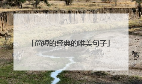 简短的经典的唯美句子